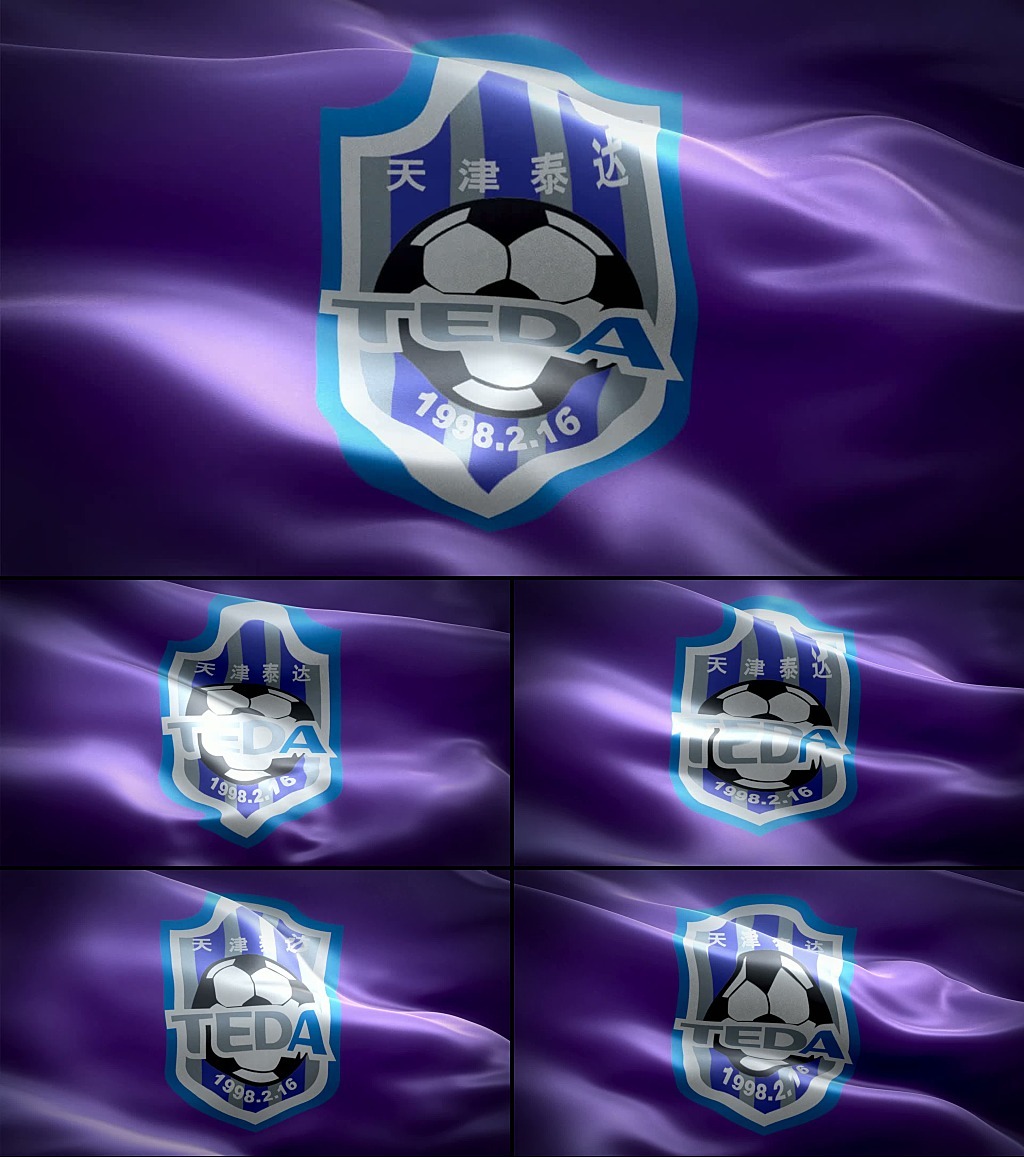 天津泰达足球俱乐部队旗模板下载(图片编号:1