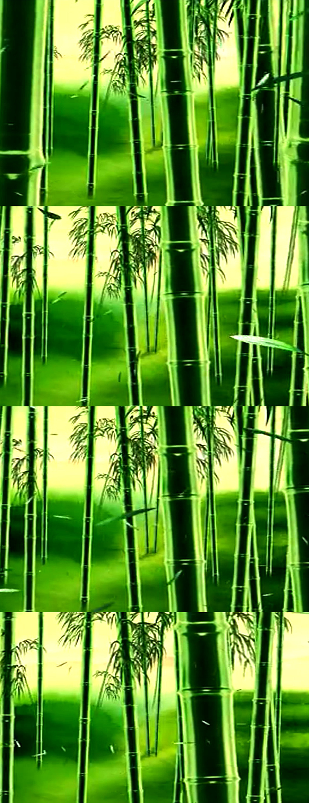 绿色竹林舞台演艺LED背景模板下载(图片编号