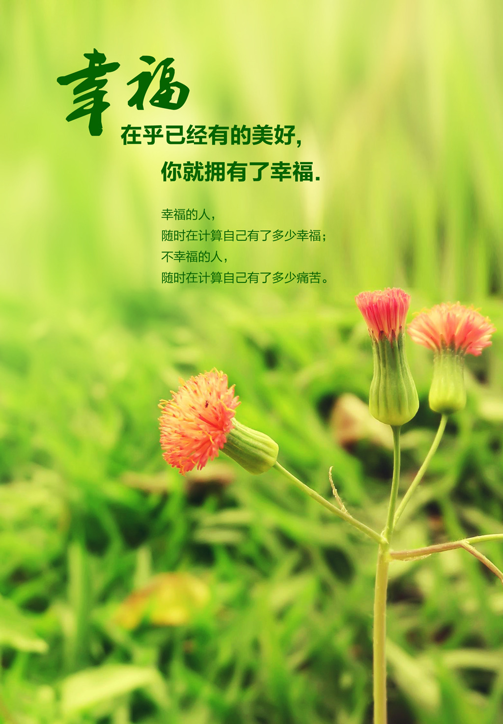 复古背景 鲜花寄语 爱情祝福 拥有美好 致青春 唯美卡片 唯美本本封面图片