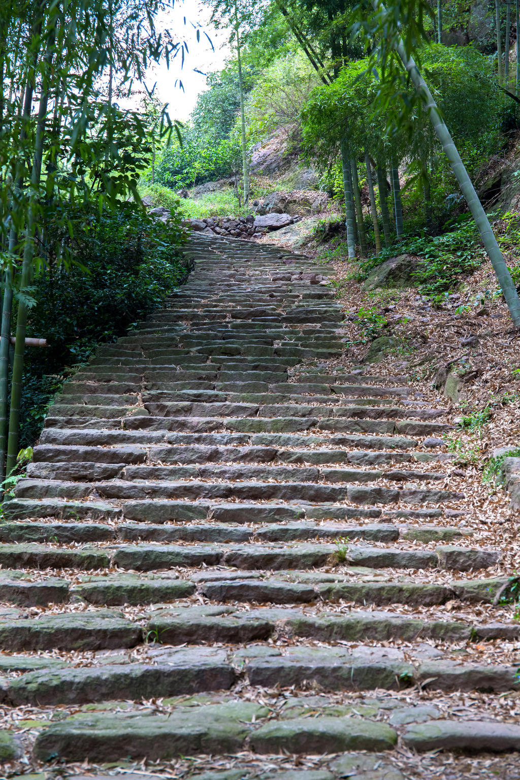 类似javzoo,山林散养鸡场设计图,相敏种子,ykk拉