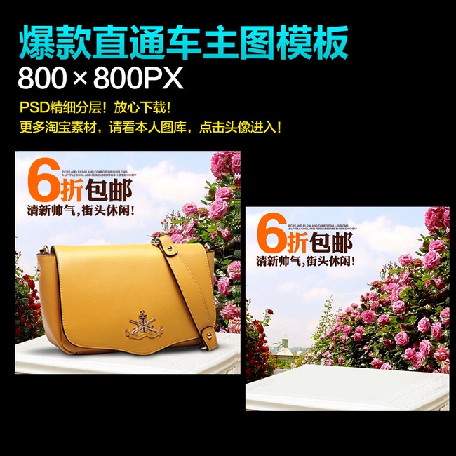 淘宝<em>天猫女包</em>手提包直通车主图模板PSD模板