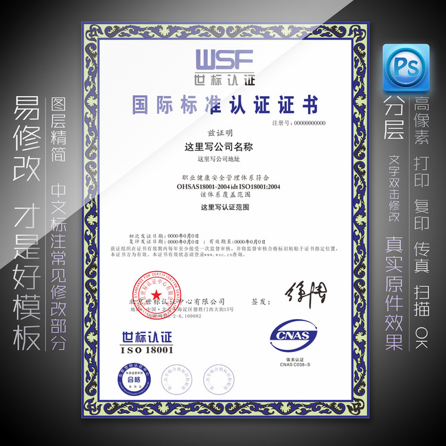 国际标准认证证书ISO认证模板下载(图片编号: