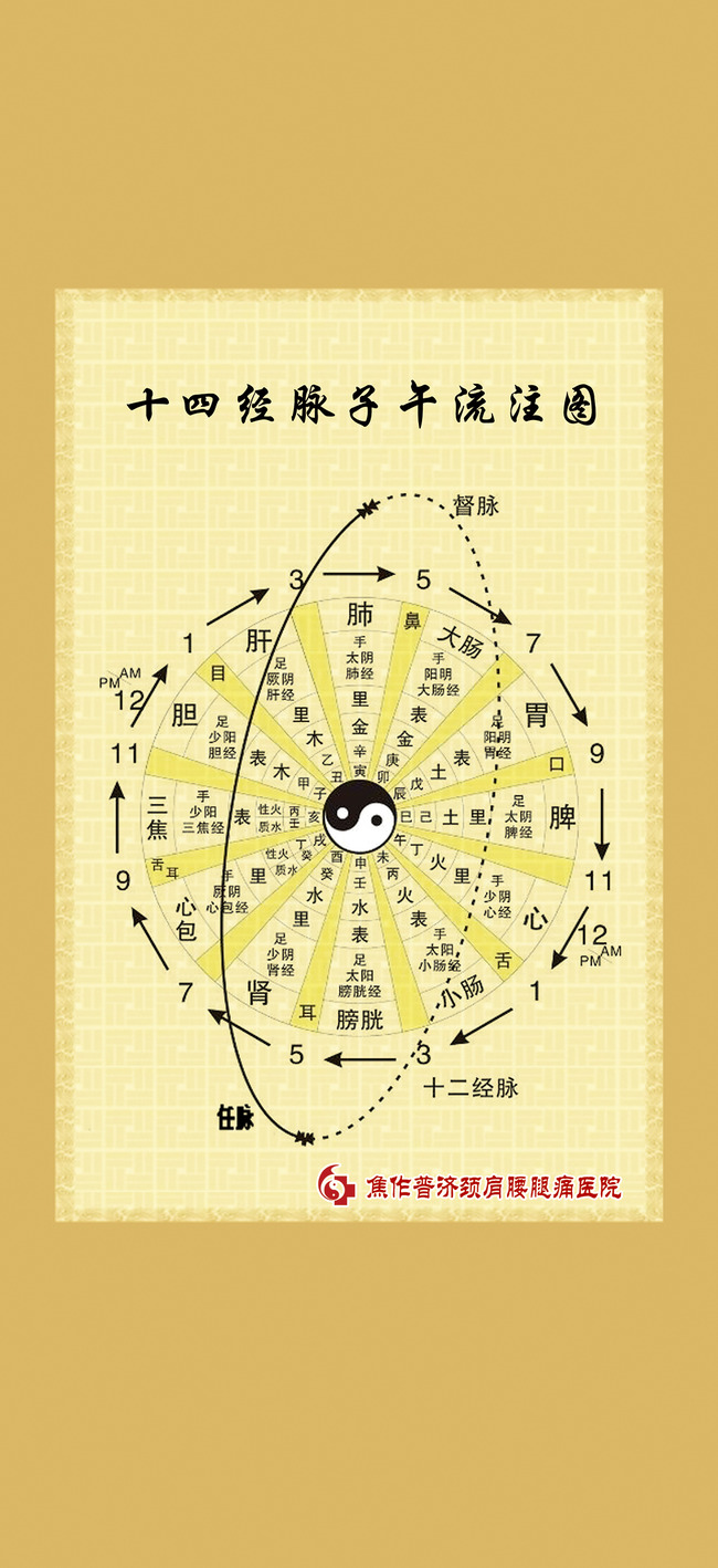 十四经脉子午流注图模板下载(图片编号:12796426)_医院展板设计_展板设计_我图网weili.ooopic.com