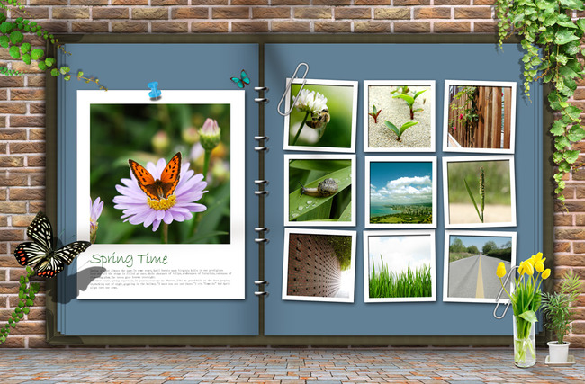 电子相册植物花卉照片墙高清图片下载(图片编号12823797)植物花卉照片墙图片_照片墙图片_我图网weili.ooopic.com