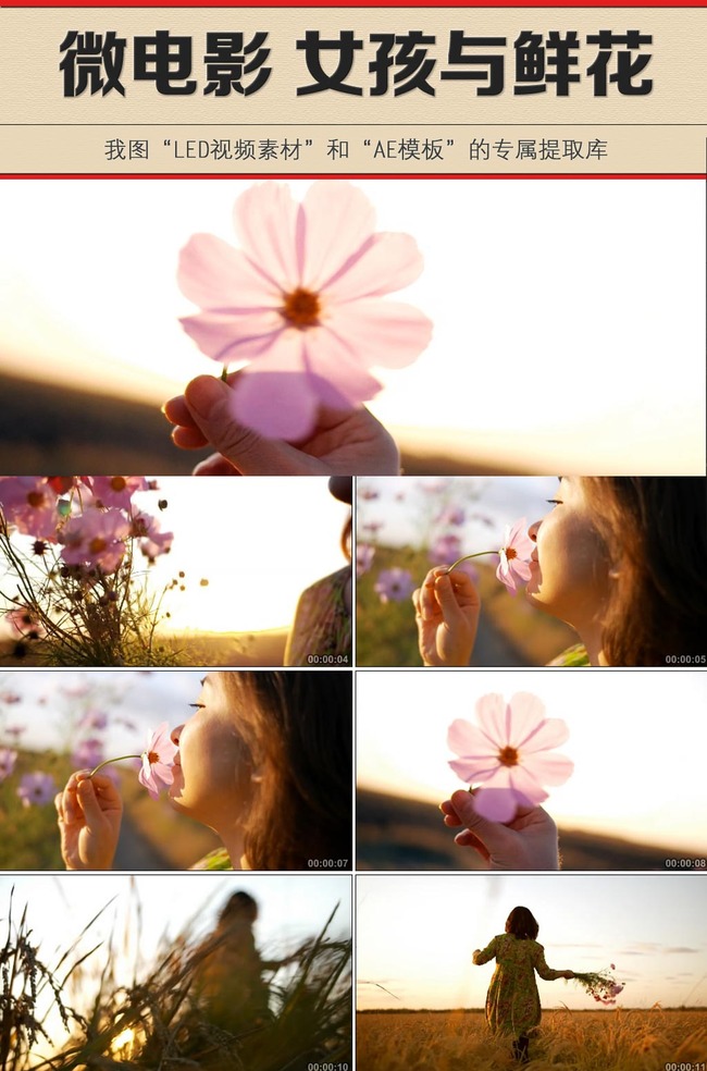 <em>阳光女孩</em>鲜花微<em>电影</em>风格视频素材模板下载(图
