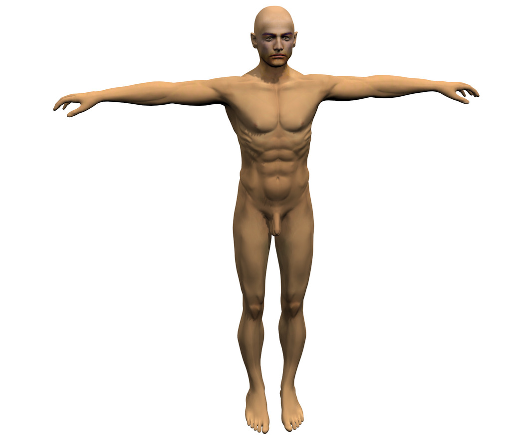 3d人体模型服装模特3D游戏人物模型模板下载