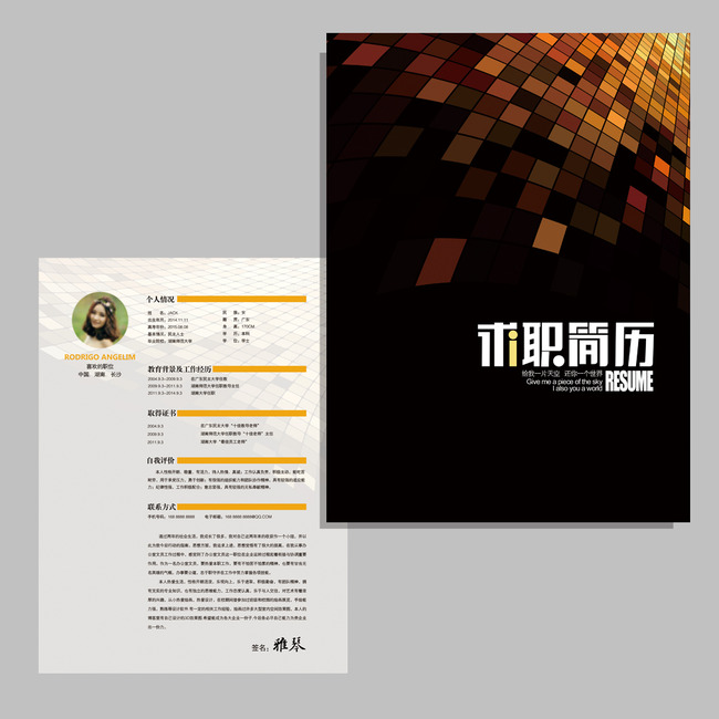 银行证券投资机构求职简历模板下载(图片编号