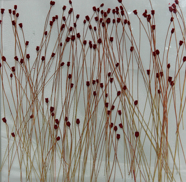 高清夹丝玻璃贴图模板下载(图片编号:1297800