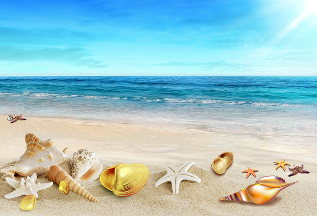 大海金色贝壳椰树夏日漂流瓶海滩模板下载(图片编号:12987351)_展板背景(半成品)_展板设计_我图网weili.ooopic.com