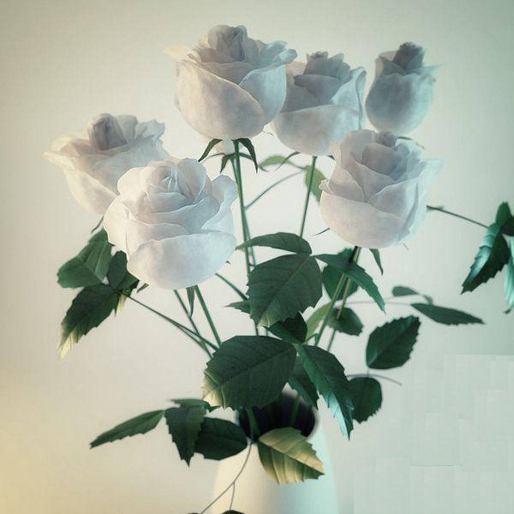 7朵白玫瑰模型模板下载(图片编号:13002646)_