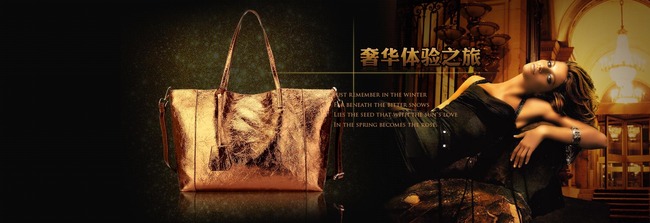 <em>淘宝天猫</em>时尚欧美风女包<em>皮包女装</em>促销海报模板