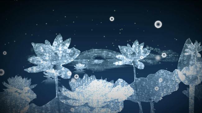 梦幻素雅荷塘荷花随风摇曳视频模板下载(图片