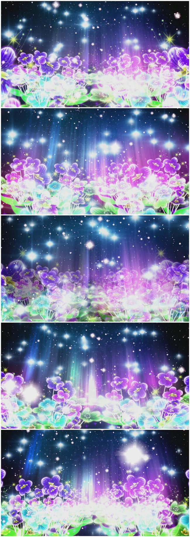 梦幻唯美紫罗兰动态视频模板下载(图片编号:1