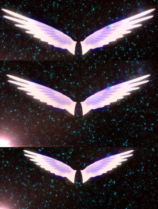 梦幻天使之翼遨游星空视频模板下载(图片编号