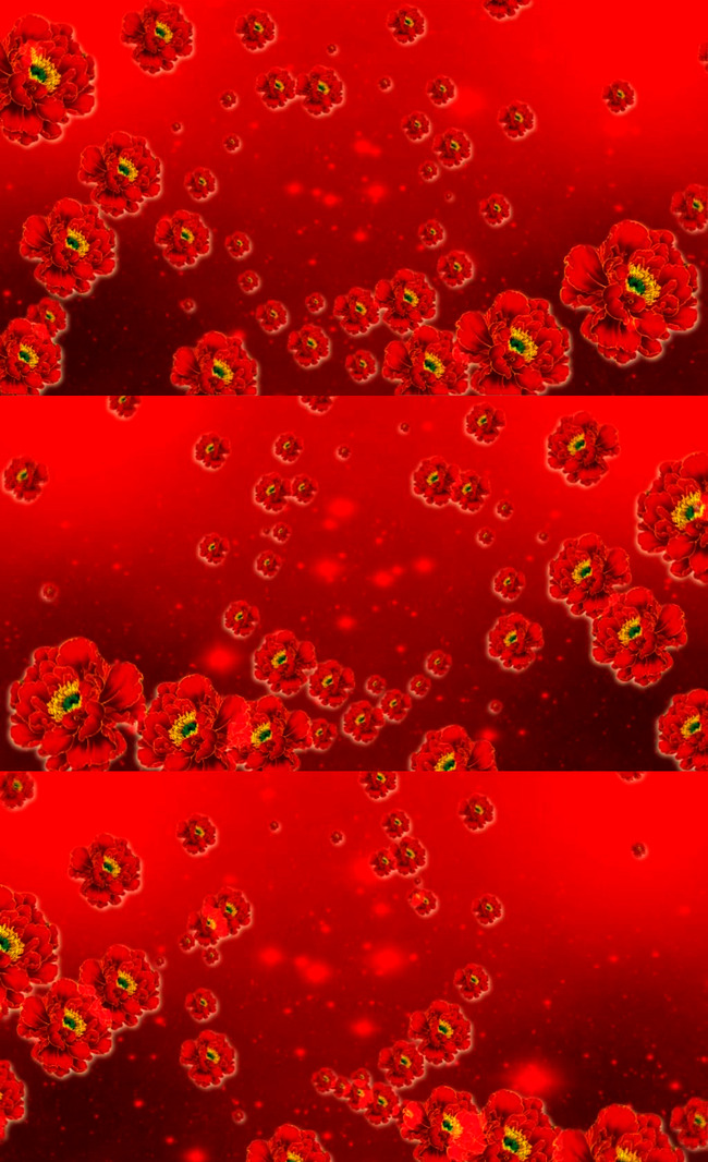 高清中国红牡丹花led背景视频模板下载(图片编