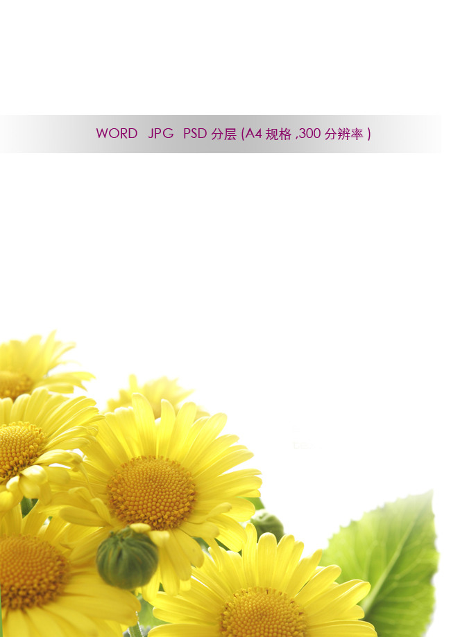 word信纸背景唯美向日葵花模板下载(图片编号