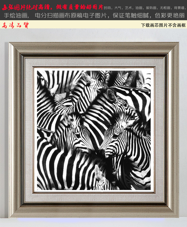 欧式班马梦幻条纹黑白装饰画图片