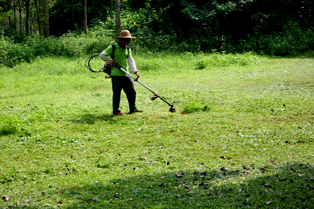 园林除草工人模板下载(图片编号:13448696)_树林图片_风景图片_我图网weili.ooopic.com