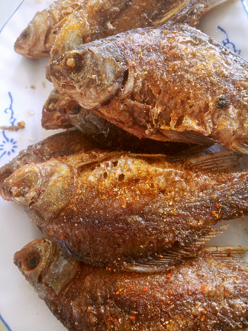 我想做真空包装的炸鱼,该怎样做,哪位大侠指点