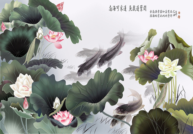 南海可采莲,莲叶何田田,鱼戏莲叶间图片