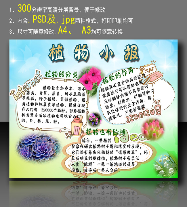 小报|手抄报