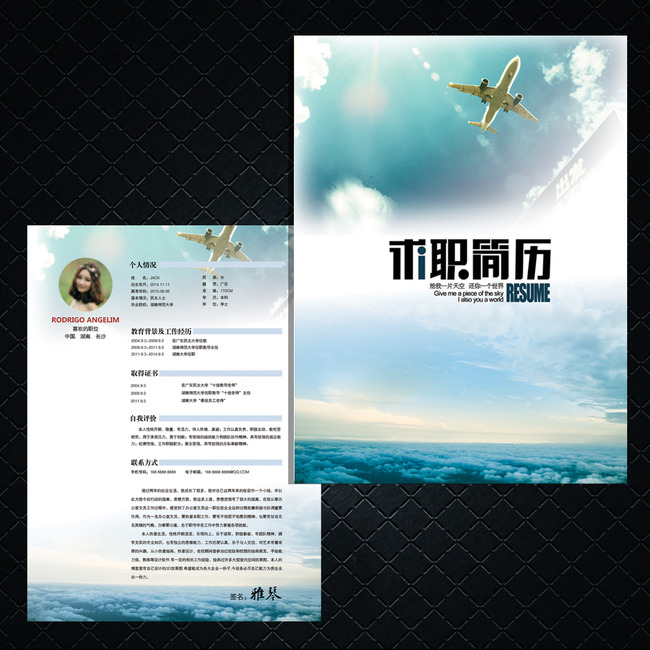 航空<em>空姐专业</em>个人简历模板模板下载(图片编号