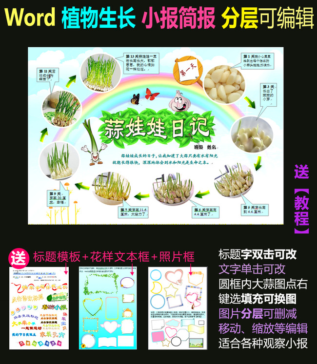 word电子小报模板植物生长小报-大蒜模板下载