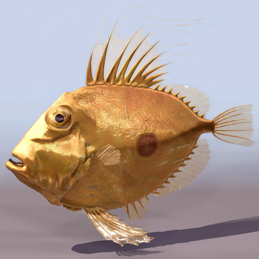 高清热带鱼3D模型下载模板下载(图片编号:135