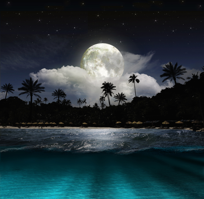 月夜星空海滩椰树浪漫背景墙图片