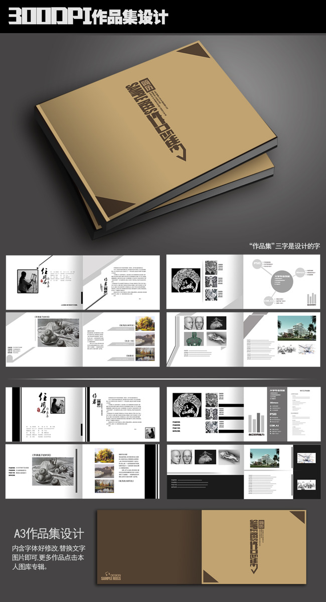 个人简历 作品集 设计作品集 毕业生 宣传资料 应聘 艺术设计 环艺