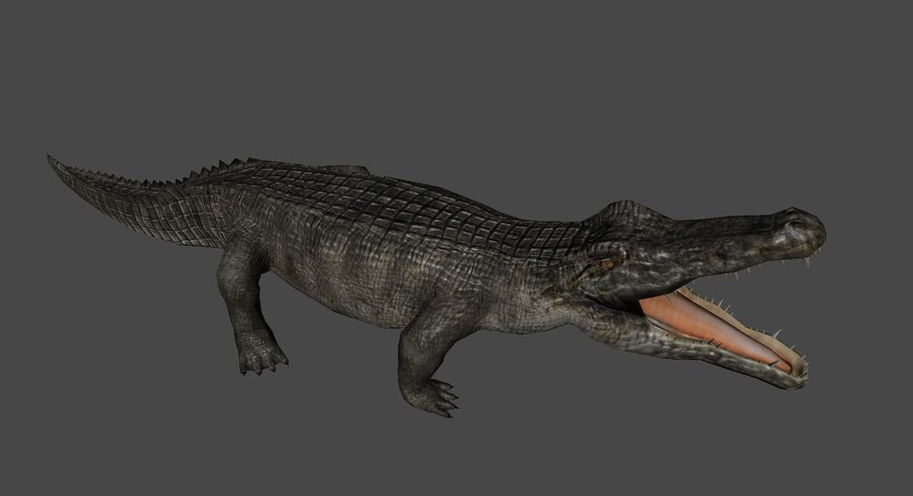 写实游戏动物鳄鱼模型带多套动作FBX模板下载