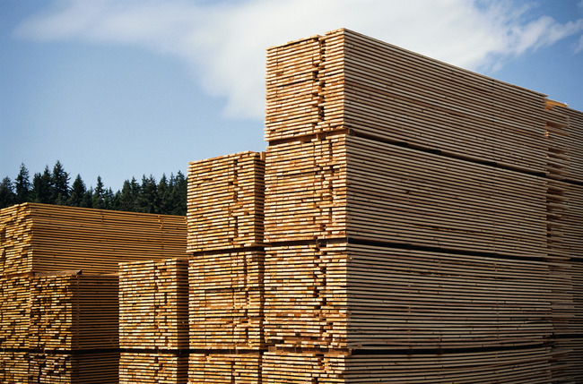 森林伐木工厂木业生产施工现场模板下载(图片