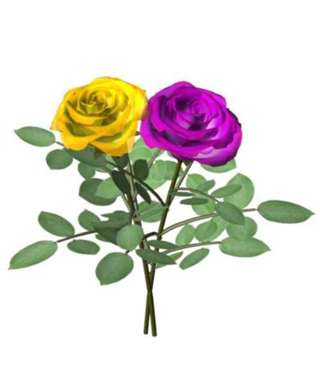 两朵小玫瑰花3d模型模板下载(图片编号:13630