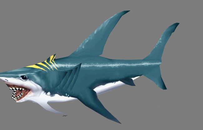 3D鲨鱼模型模板下载(图片编号:13639917)_动