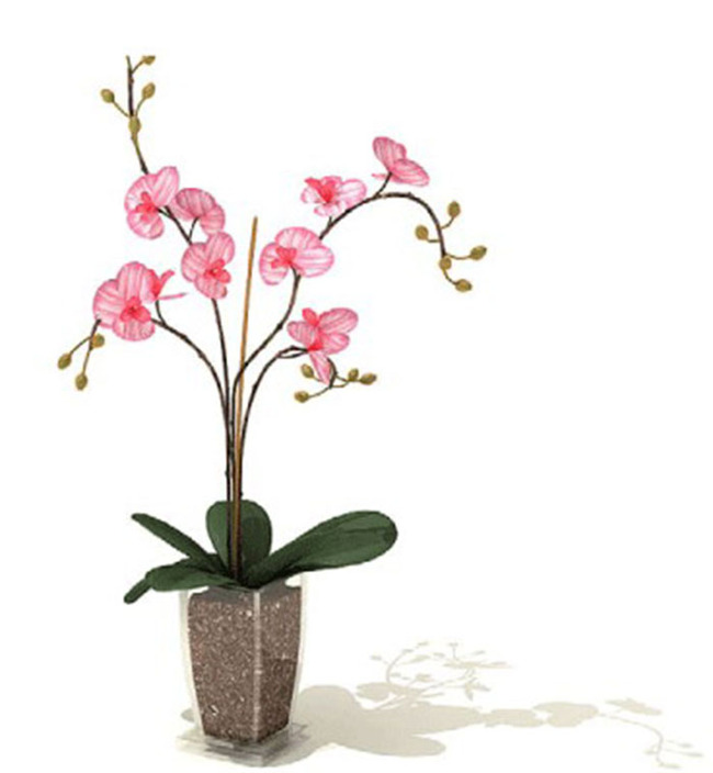 3D小植物模型13模板下载(图片编号:13640755