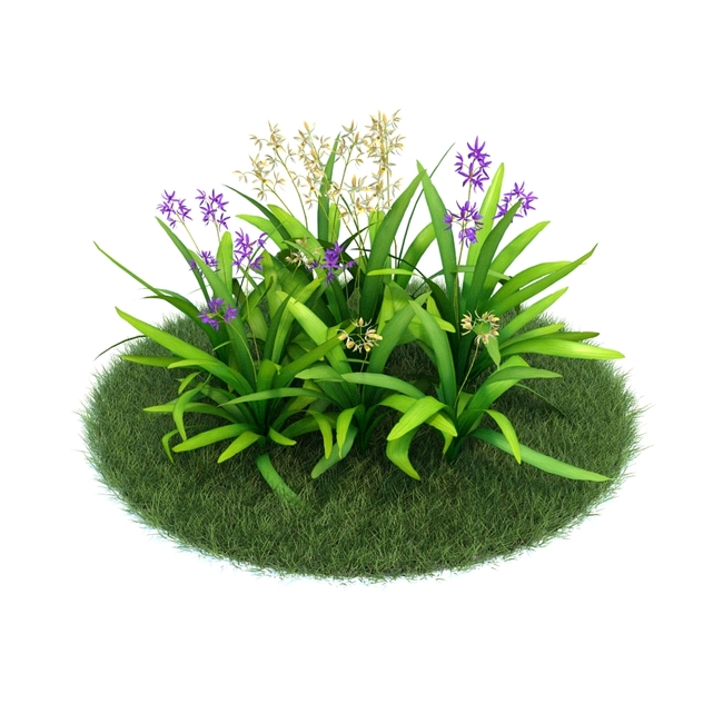 3D草坪植物模型9模板下载(图片编号:1364626