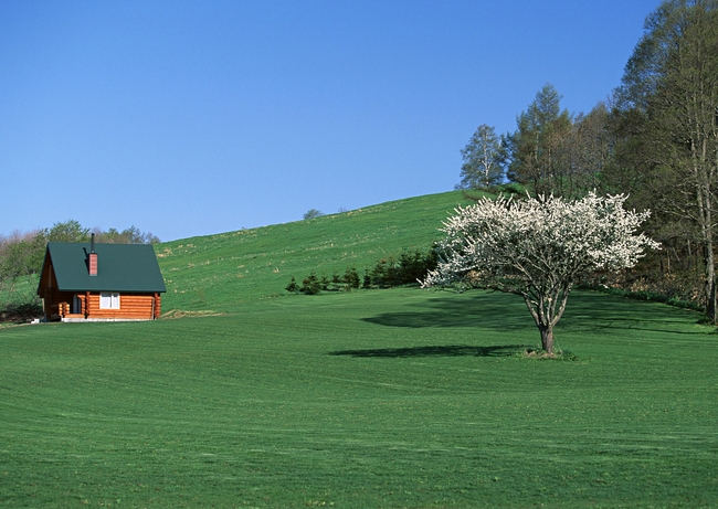 田园风光庄稼大地庄园景色草原模板下载(图片编号:13653574)_设计素材_其他_我图网weili.ooopic.com