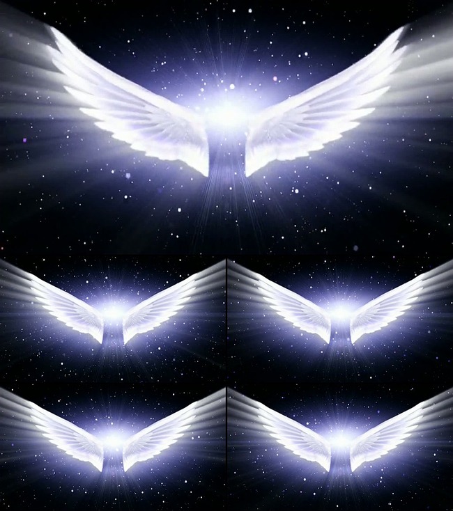 天使神话翅膀飞翔粒子模板下载(图片编号:136