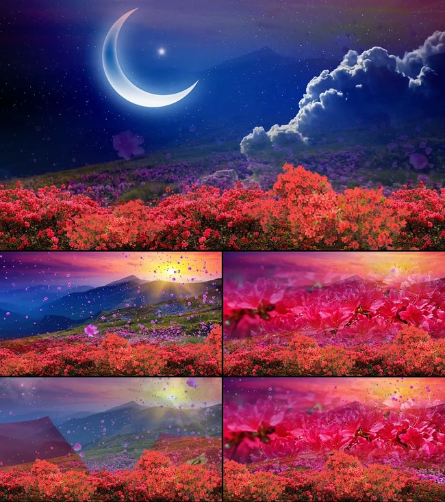 配乐成品映山红经典红歌画面紧扣歌词模板下载