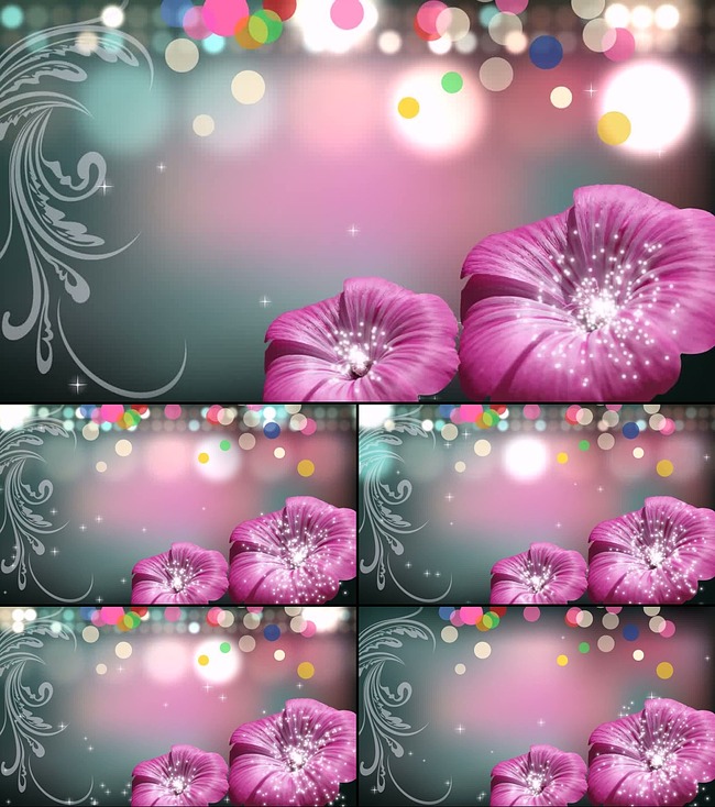 花朵星光光斑粒子高清视频素材模板下载(图片