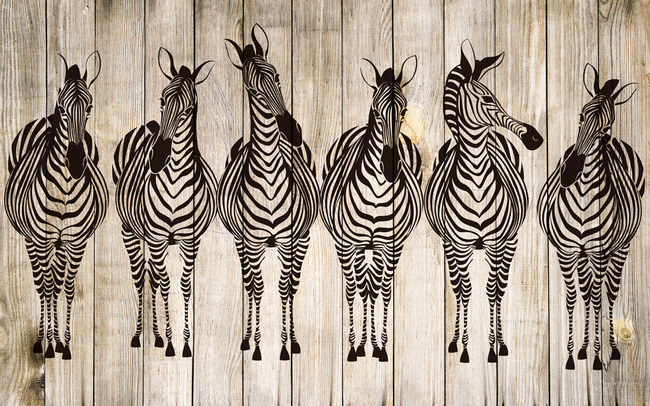 时尚斑马木板背景高清图片下载(图片编号1378