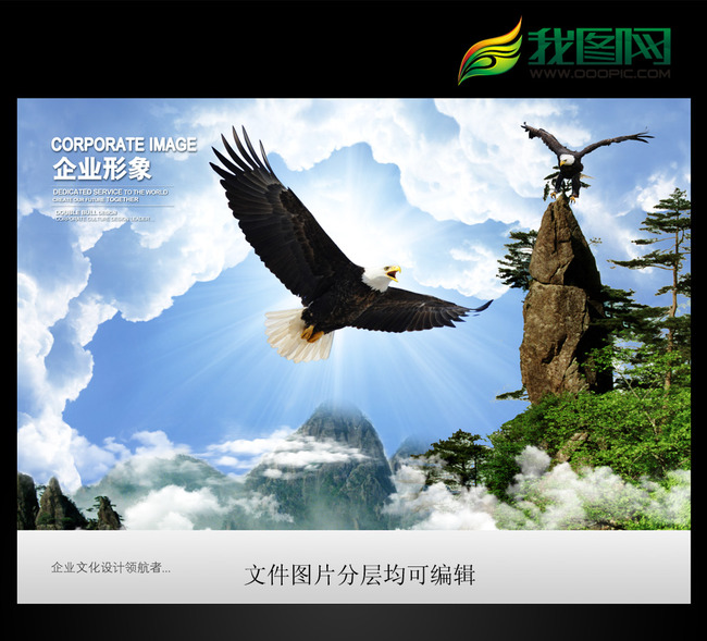雄鹰展翅飞翔模板下载(图片编号:13824987)_企