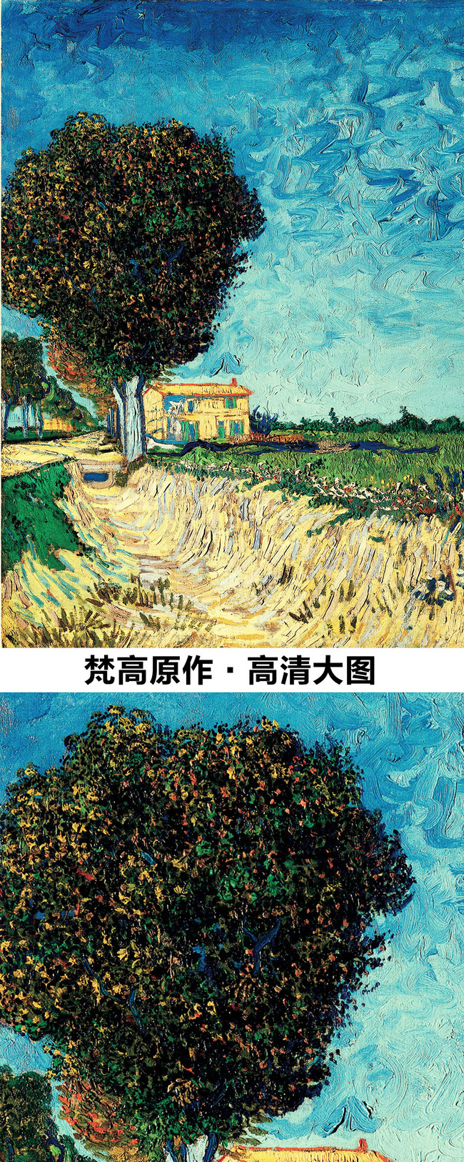 梵高作品树木农舍和绿色麦田高清大图