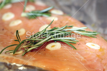 原料粉红色大马哈鱼鱼图片素材(图片编号:500