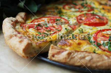 Quiche or pie with tomatoes, cottage cheese fil