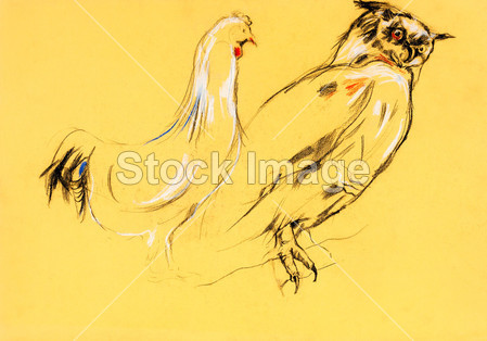猫头鹰和公鸡绘画图片素材(图片编号:5016168
