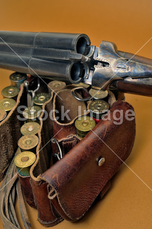 散弹枪和其墨盒图片素材(图片编号:50221717