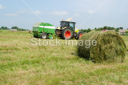 Tractor bailer collect hay in agriculture field图片