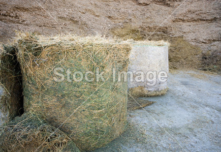 Haylage and silage图片素材(图片编号:502406