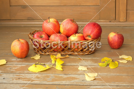 Autumn still life with red apples in a wicker bask